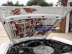hood liner-75-jag.jpg