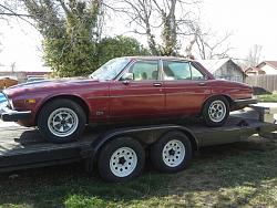 Newly Acquired SIII-20130329_160115.jpg
