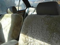 Newly Acquired SIII-20130329_160427.jpg