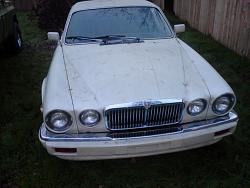 1980 Jaguar custom, need some sound advise!-lg-phone-2473.jpg