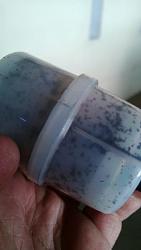 Fuel Pump?-oliverb-137321-albums-clogged-filter-7691-picture-clogged-pre-pump-filter-xj6-siii-19634.jpg