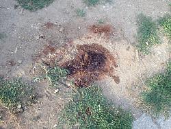 SII Siliencer removal tips tricks?-964212_695634857116630_537381203_o.jpg
