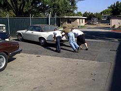XJ6C and XJ12C owners out there?-san_jose-20100913-00046.jpg
