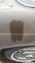 1971 XJ6 Build-20140319_181840.jpg