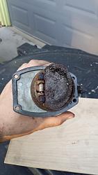 1971 XJ6 Build-20140324_182708.jpg