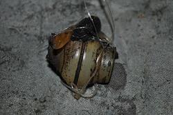 Sunday drive ends with 000, I'm on fire.-dsc_8831.jpg