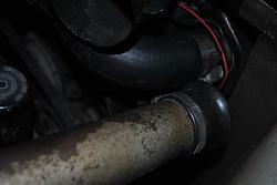 Series 1 top radiator hose-dsc_9352.jpg