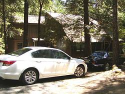 A Herd of Cats-cabin-.jpg