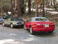 A Herd of Cats-jags5.jpg