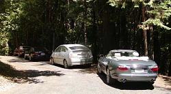 A Herd of Cats-jags6.jpg