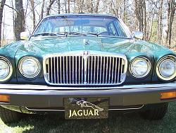 grill colour??-100_2036.jpg