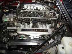 checking and repair/relocating wiring under bonet,-engine-bay.jpg