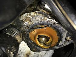 Car revival question-img_0625.jpg