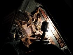 the great debacle swapping shells-img_20141204_172646.jpg