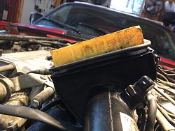 Do I have the wrong size air filter?-img_0941.jpg