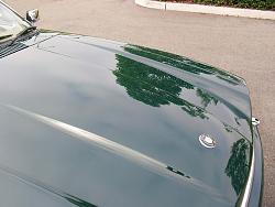 Leaper or no leaper?-cimg2176-1.jpg