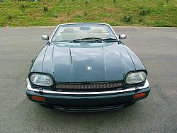 Leaper or no leaper?-cimg1856-reduced.jpg