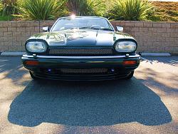 Leaper or no leaper?-cimg2050-reduced.jpg