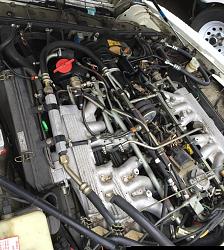91 XJS engine photos-91-engine-bay.jpg
