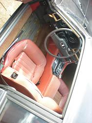 Adventures in Jaguar Hunting - Add Yours-86-xjs-v12-033.jpg