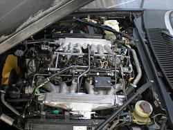 Adventures in Jaguar Hunting - Add Yours-86-xjs-v12-035.jpg