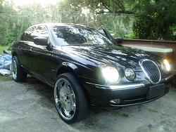 Aah, poor kitty.-image.jpg