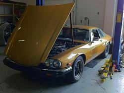 Is my XJS the oldest here?-stoim1.jpg