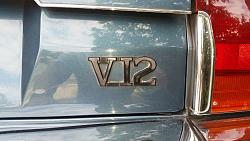 Rear Badges-v12.jpg