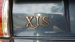 Rear Badges-xjs.jpg