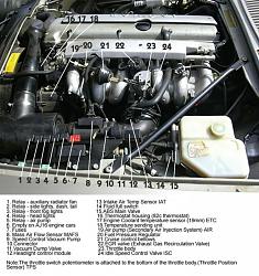 EGR Fault ("Check Engine" Warning) - 1994 XJS-aj16.jpg