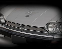 Retro fitting a mesh grill/upgrading your OEM grille-xjs_mesh_grille__35673.1407830806.488.380.jpg