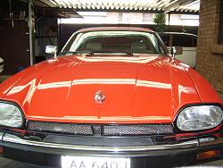Retro fitting a mesh grill/upgrading your OEM grille-xjs-leaper.jpg