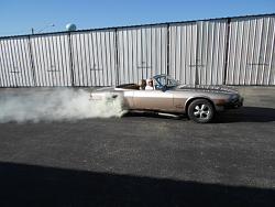 Do you ever use your low gears?-wild-cat-burnout-006.jpg