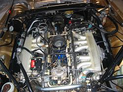 Throttle Micro and Vacuum Switches-xjs-engine.jpg