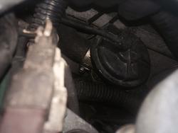 coolant hose part ID?-photo-2.jpg
