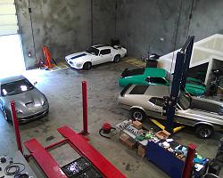 Live And Learn-mustangs.jpg