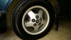 How do you wash yours? A journey into keeping your XJS clean-20150804_075234.jpg