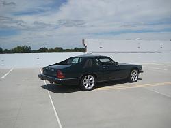 photo shoot photo dump, enjoy! [pic heavy]-img_0041.jpg