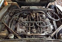 A True Barn Find-v12-2.jpg