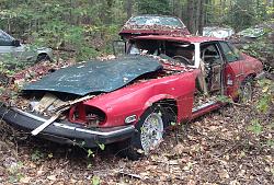 A True Barn Find-img_0078.jpg