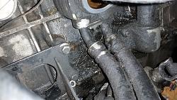 Oil leak and cooler hose o-rings replacement (3.6 engine)-20160426_161759.jpg