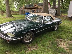 Thinking of purchasing an XJS-img_2673.jpg