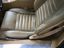 Thinking of purchasing an XJS-awaj_2.jpg