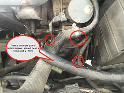 Changed my Belts!  Facelift XJS-ac-compressor-top.jpg