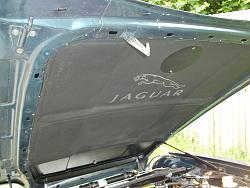 Hood Insulator-104.jpg