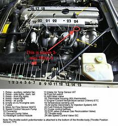 Help! Broken Oil Hose Fitting- Pics Included-broken-fitting.jpg