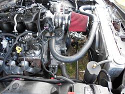 Electric Fans for my XJS V12 How I did it with Photos and a Video-buick-cute-dogs-012.jpg