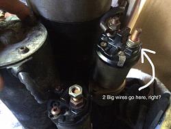 XJS V12 1986 Starter Questions-starter.jpg