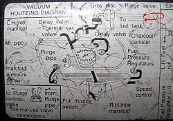 Fuel Tank/Trunk Fuel Vapor Smell (yet another)-jagemission.jpg