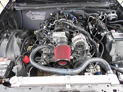 Round Gauge Conversion-buick-cute-dogs-010.jpg